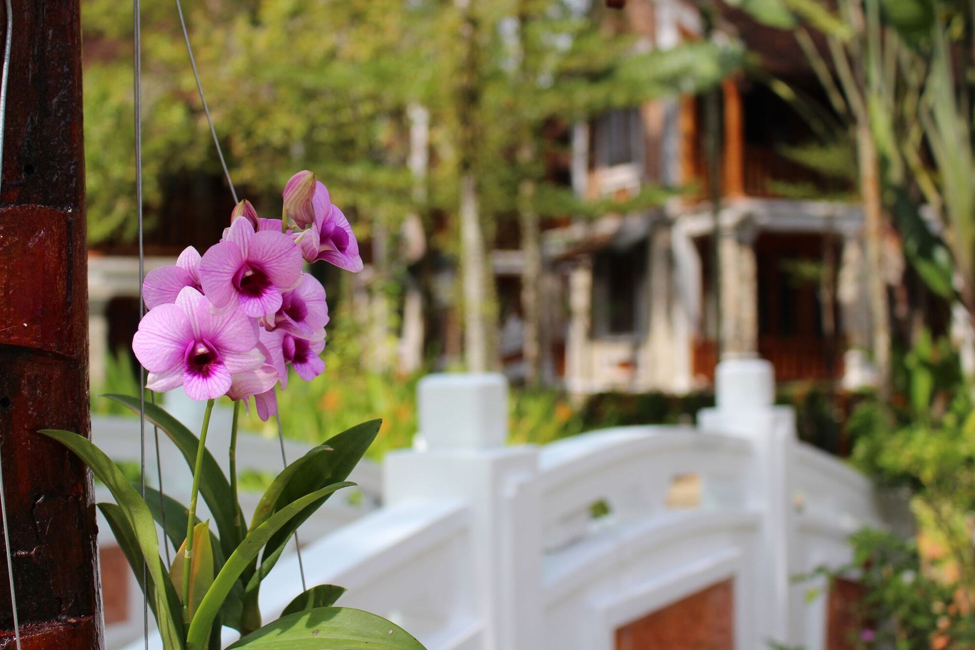 Ancient Village Phu Quoc Resort Eksteriør billede